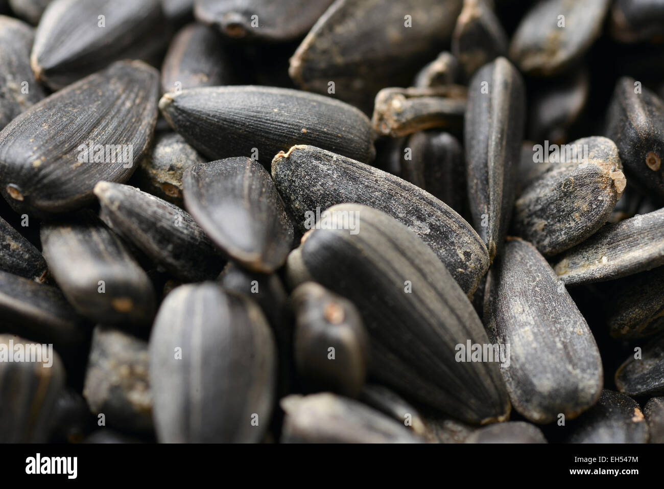 Sunflower seeds, for backgrounds or textures. Stock Photo