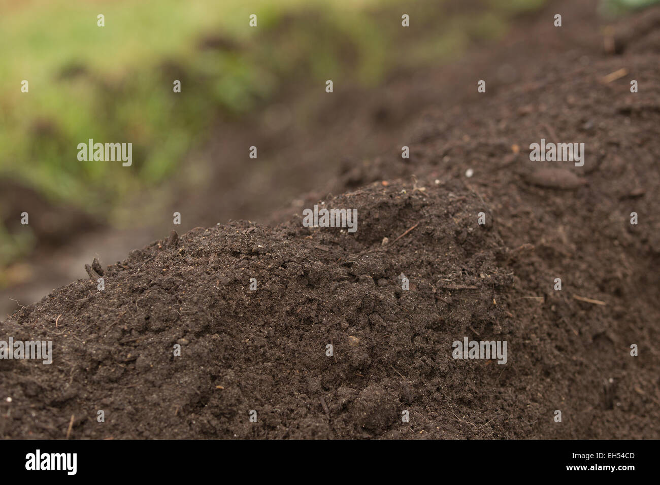 Vegetable mould for in a greenhouse Stock Photo Alamy
