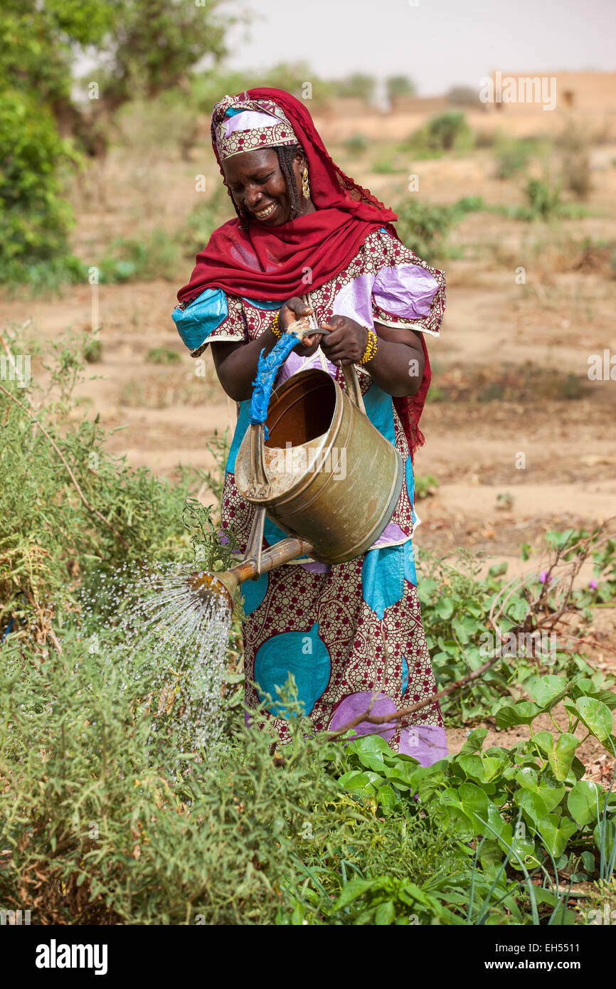 Women's Garden Group, Tera, west Niger: Ramata Hama, 38, one of 52 women in the local gardening group provides both food and income through the food crisis. Stock Photo