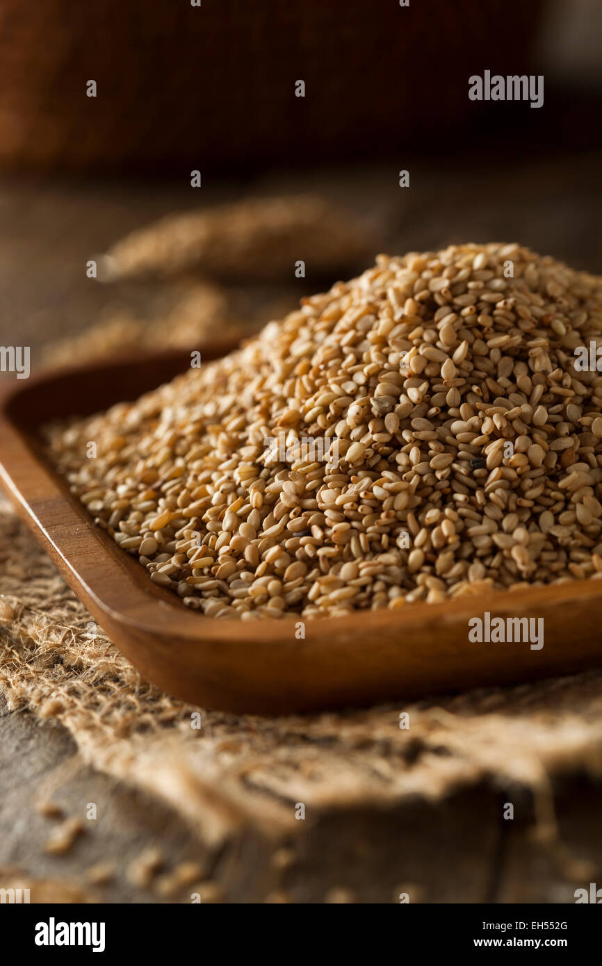 Raw Organic Sesame Seeds in a Bowl Stock Photo