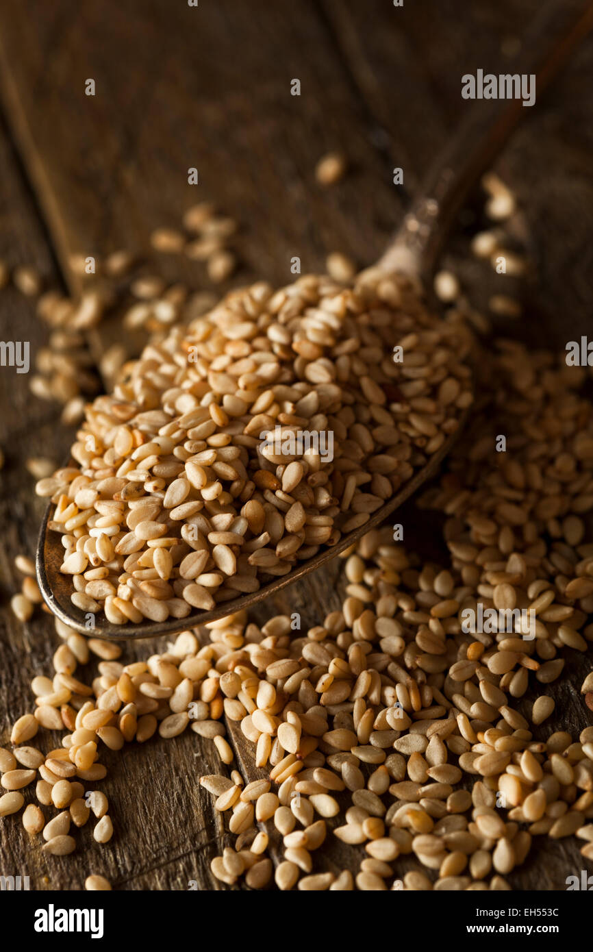 Raw Organic Sesame Seeds in a Bowl Stock Photo