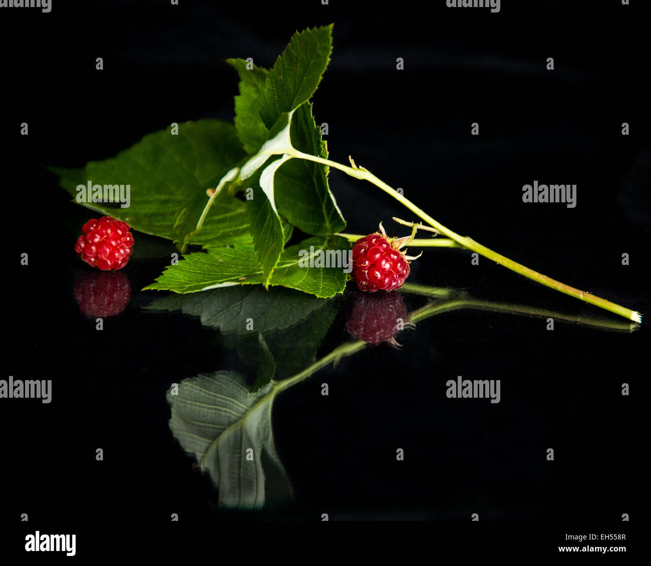 Small Rasbery Looking Dark red fruit berry like hi-res stock photography and images - Alamy
