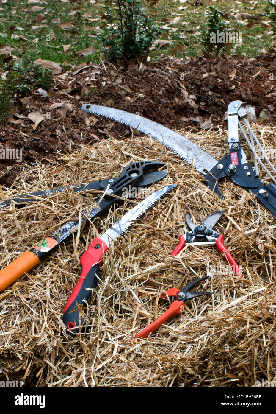 https://c8.alamy.com/comp/EH56BE/pruning-tools-for-the-home-grdener-EH56BE.jpg