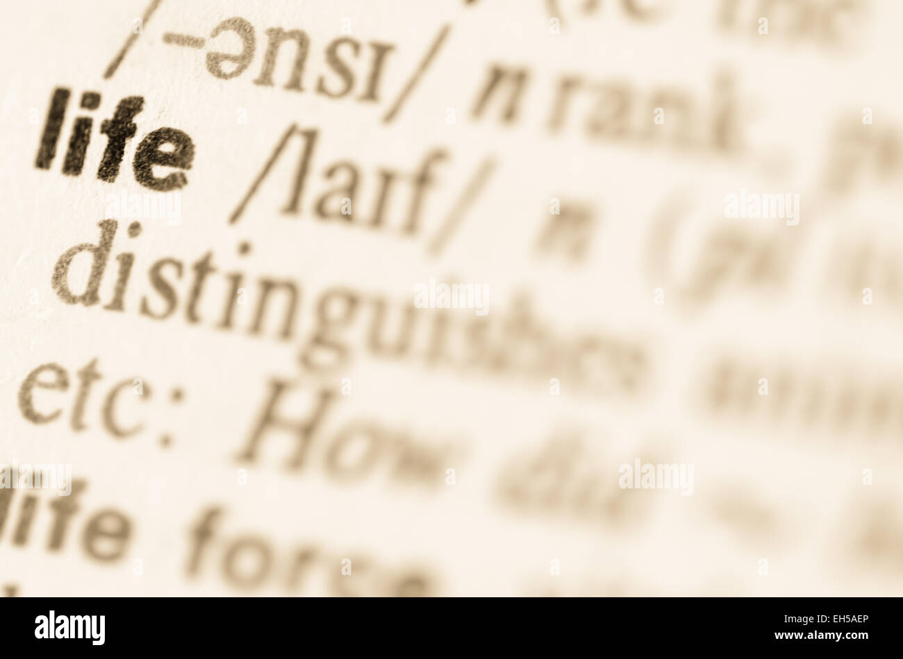 Definition of word life in dictionary stock photo alamy