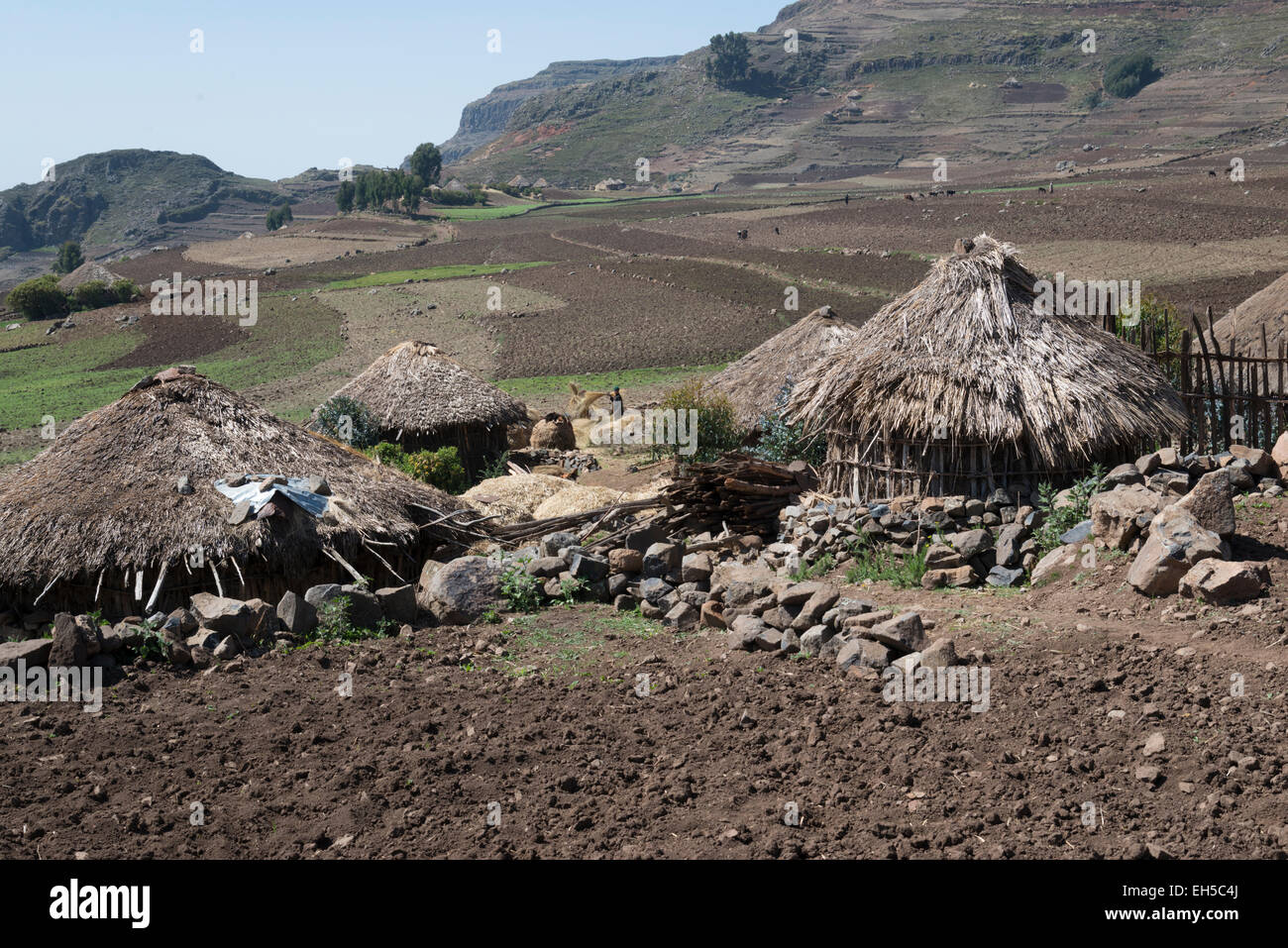 Ethiopia farming hi-res stock photography and images - Alamy