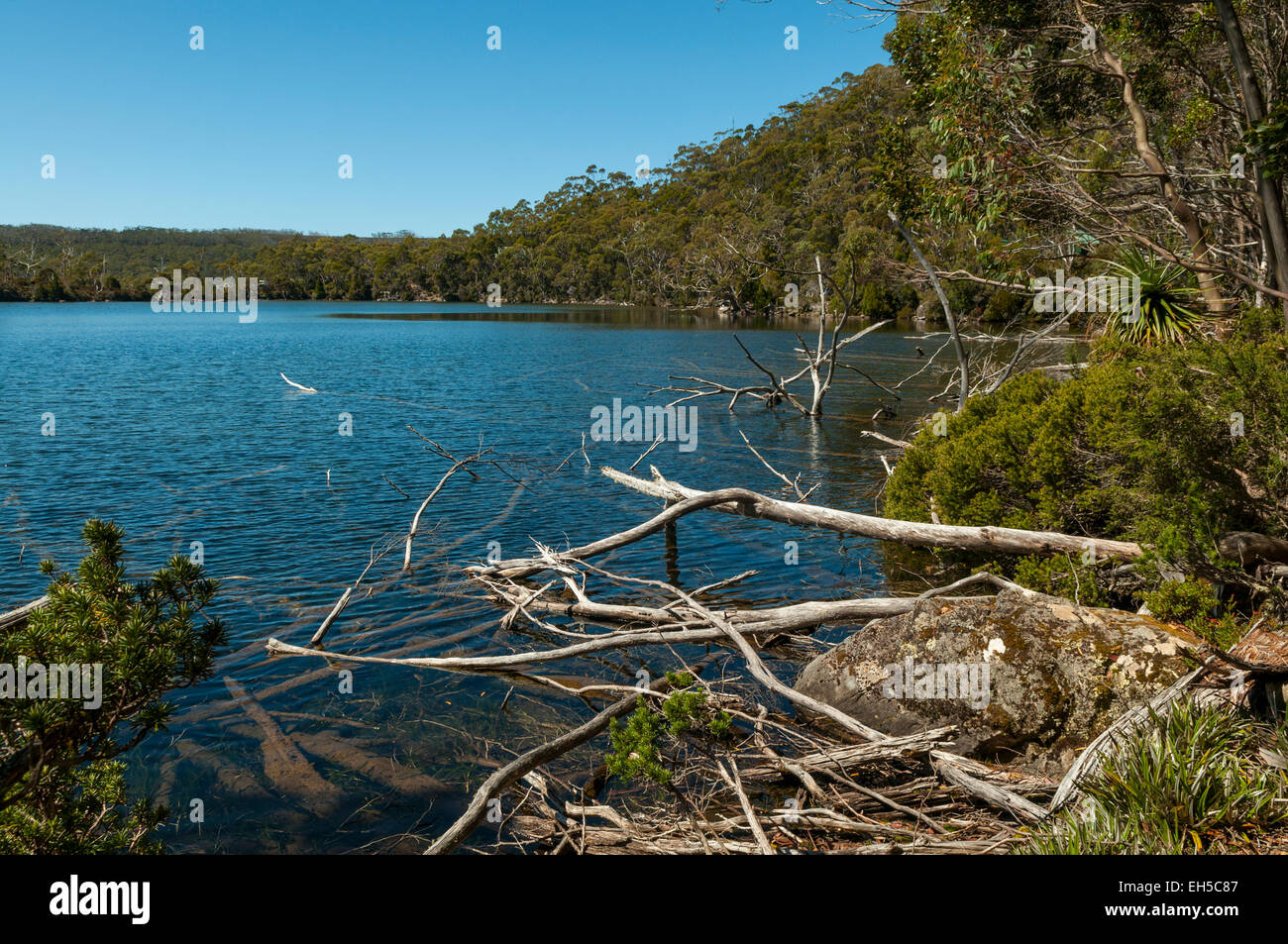 Lake Dobson, Mt Field NP, Tasmania, Australia Stock Photo
