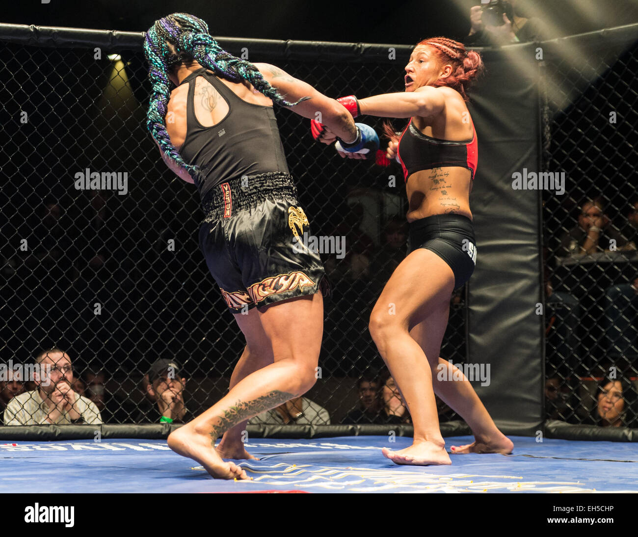 Lisa reed hi-res stock photography and images - Alamy