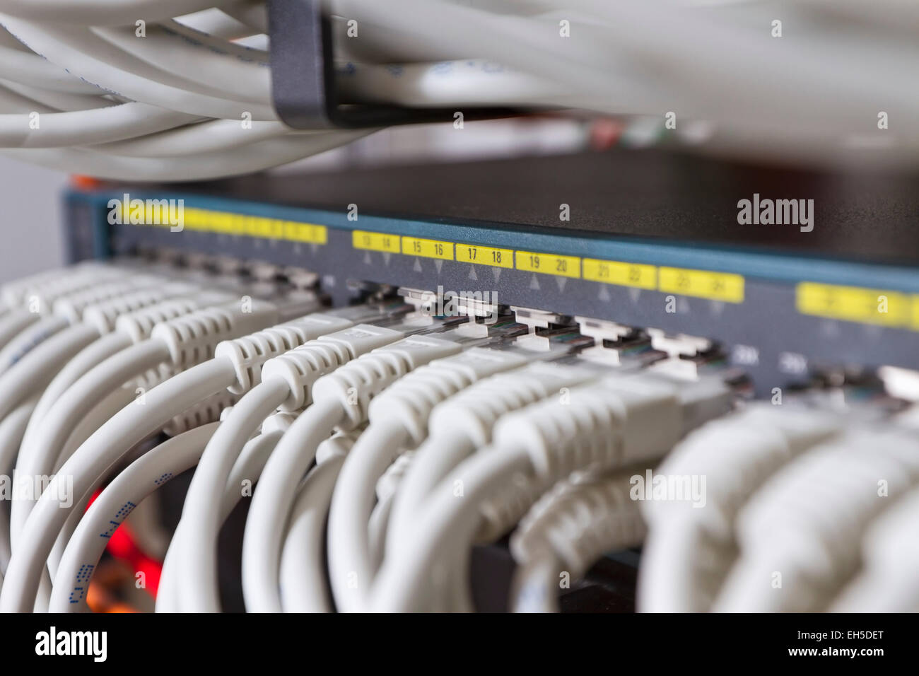 Close up of a gigabit switch with cat 5 / 5e / 6 patch cables