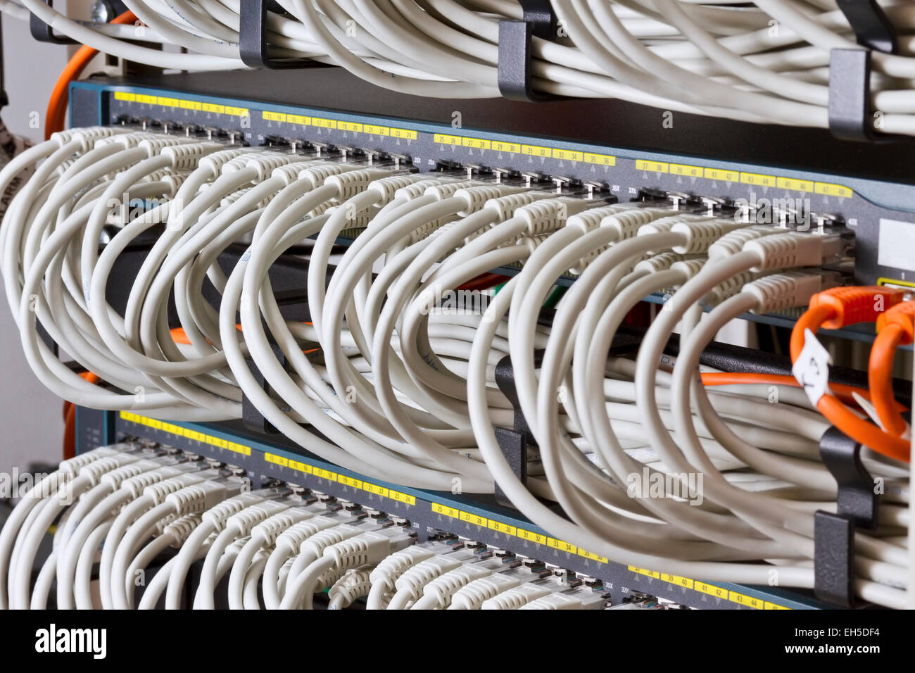 Close up of switches with cat 5 / 5e / 6 patch cables