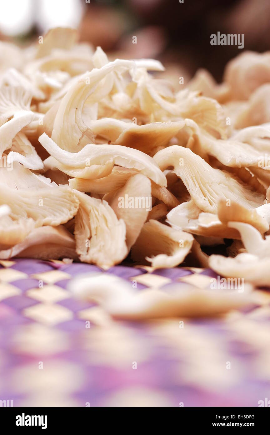 Sustainable farming solutions hi-res stock photography and images - Alamy