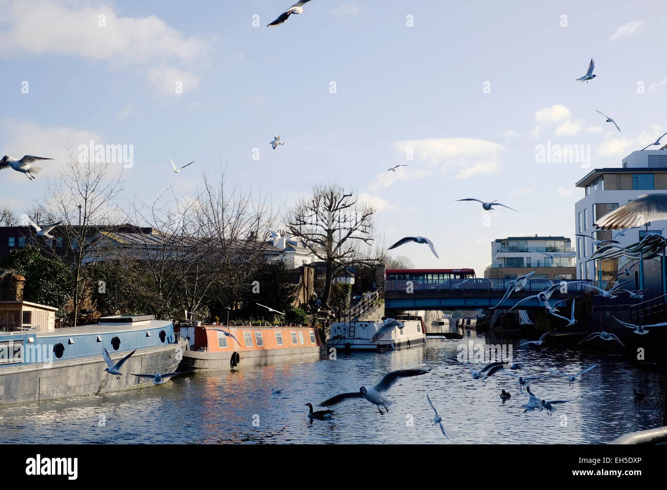 Birds flying over Paddington canal, London Stock Photo