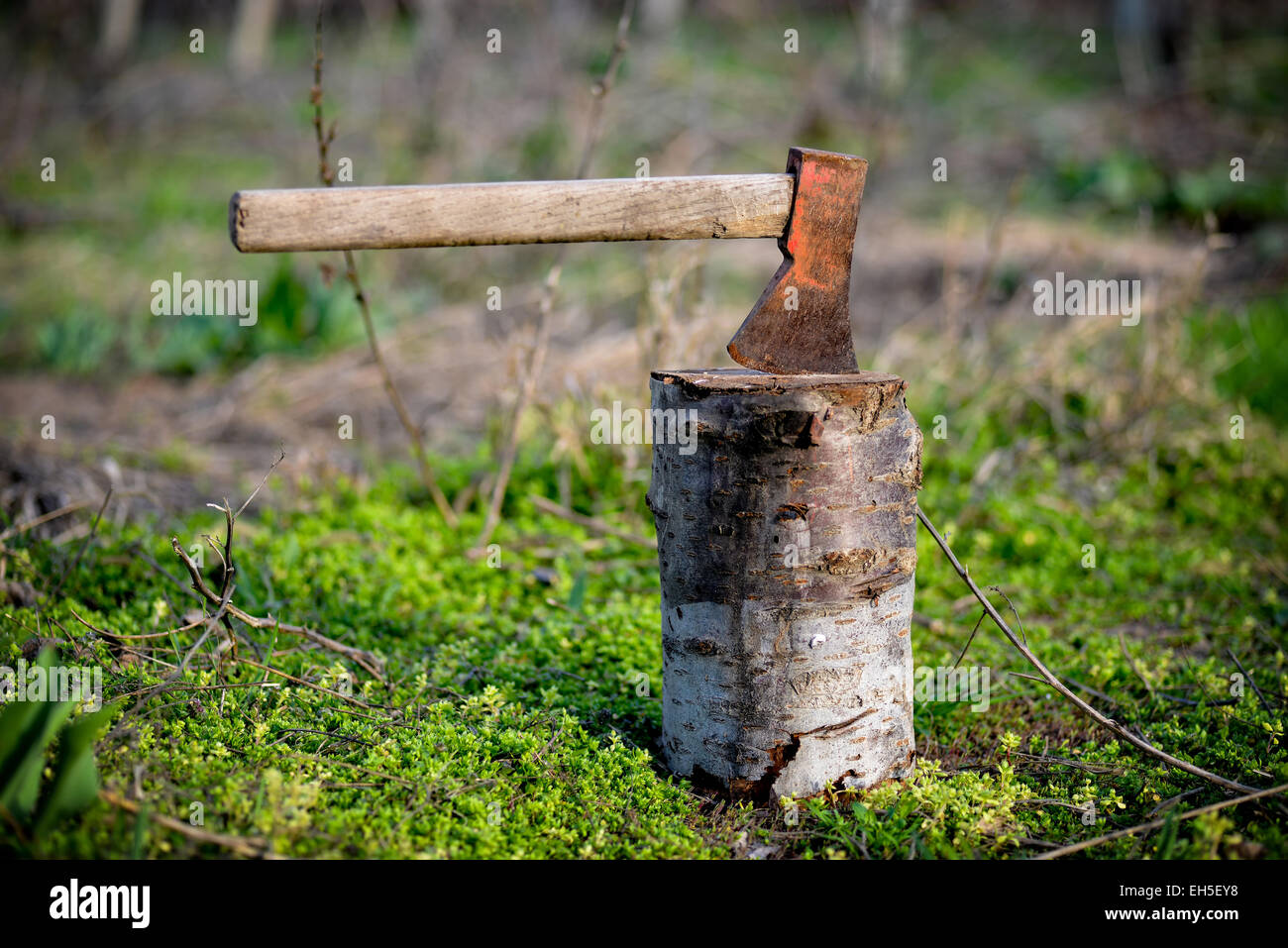 Ax stuck in a log of wood in natural light Stock Photo