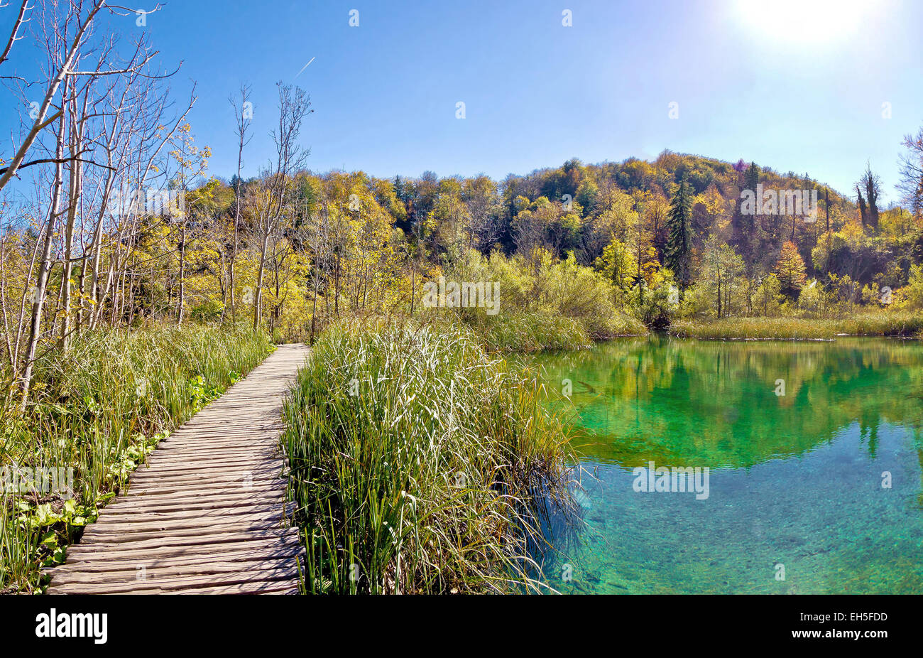 Plitvice lakes national park boardwalk through green water Stock Photo