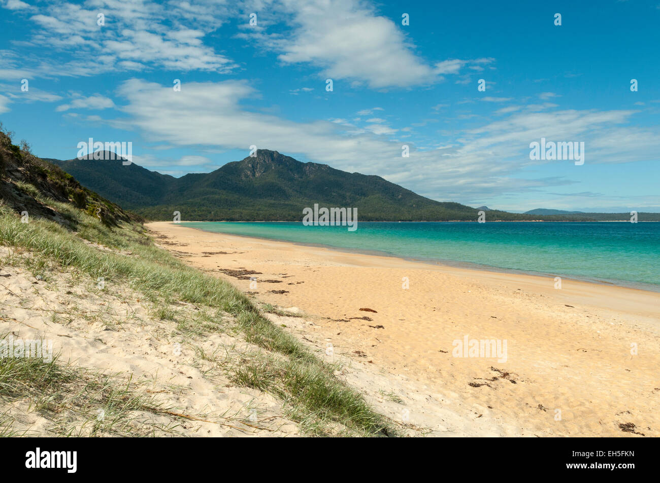 Hazards Beach, Freycinet NP, Tasmania, Australia Stock Photo