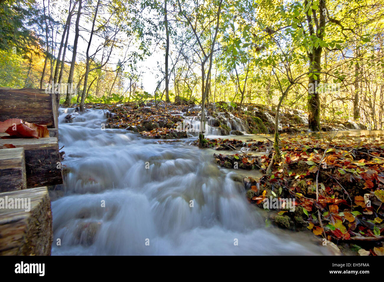 Flowing stream in Plitvice lakes national park of Croatia Stock Photo