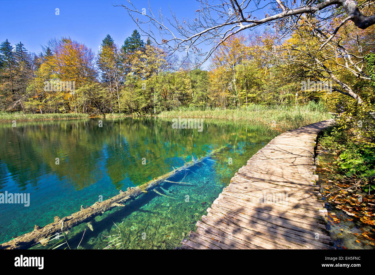 Turquoise Plitvice lakes national park in Croatia Stock Photo