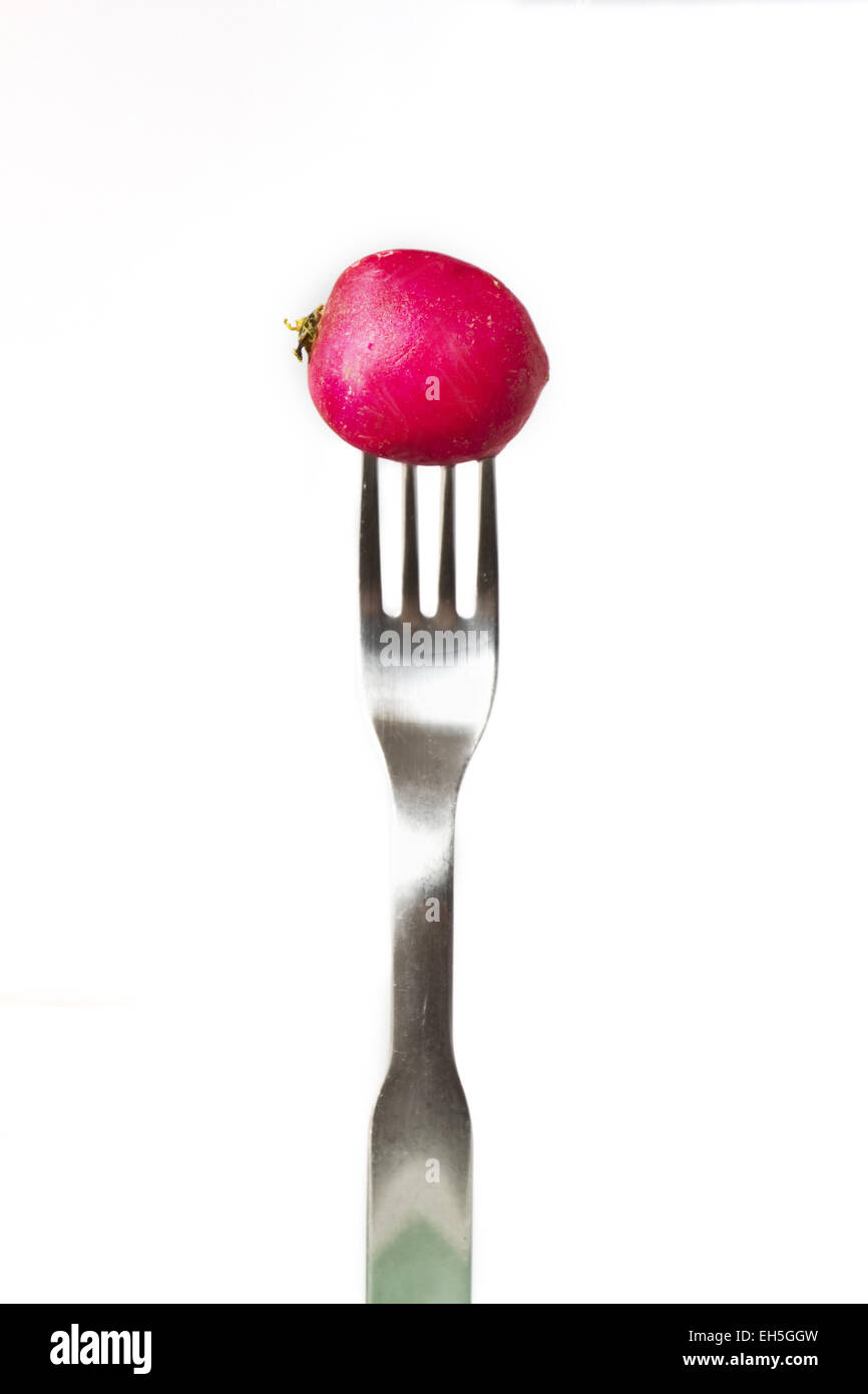 Organic radish on a fork. Stock Photo
