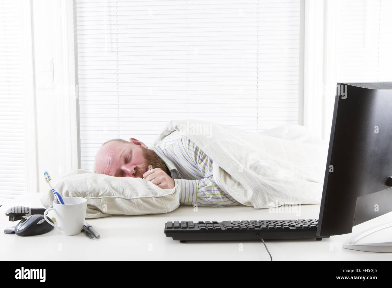 Exhausted and thumb sucking businessman sleeps with pillow and duvet in office. Stock Photo