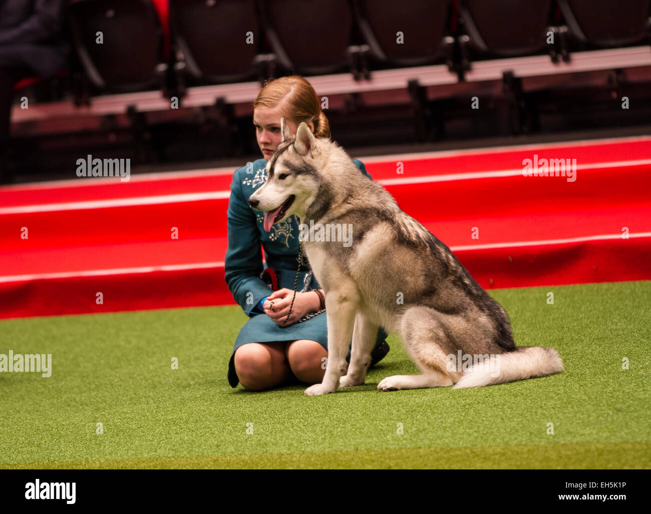 Birmingham, UK. 7th March, 2015. The International Junior Handling Competition at Crufts for under 18s Credit:  steven roe/Alamy Live News Stock Photo