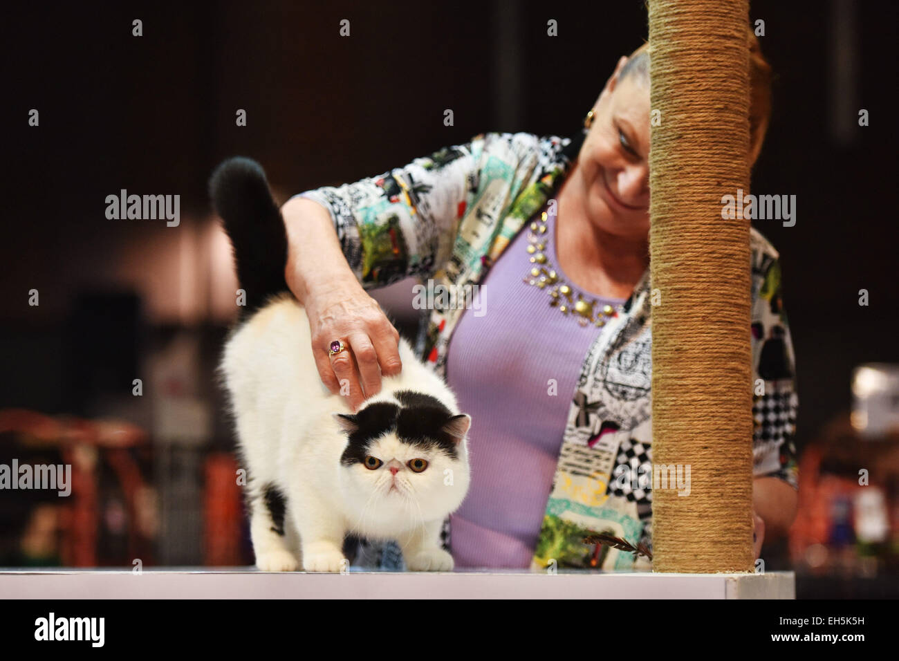 Bangkok, Thailand. 7th Mar, 2015. Judge observes a cat during the 2015 Bangkok International Cat Competition in Bangkok, Thailand, on March 7, 2015. More than 200 pedigree cats have been registered to participate in the event, which is hosted by the Cat Fanciers' Association and the Cat Fanciers' Club of Thailand. © Li Mangmang/Xinhua/Alamy Live News Stock Photo