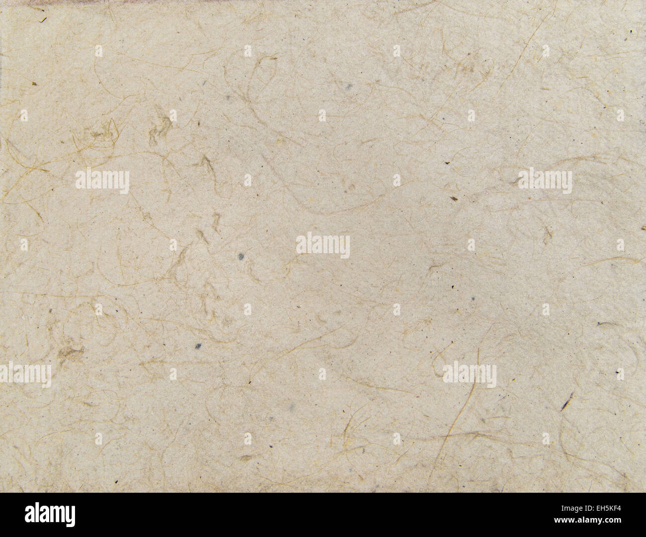 Aged asian handmade paper texture with veins and fibers. Useful as ...