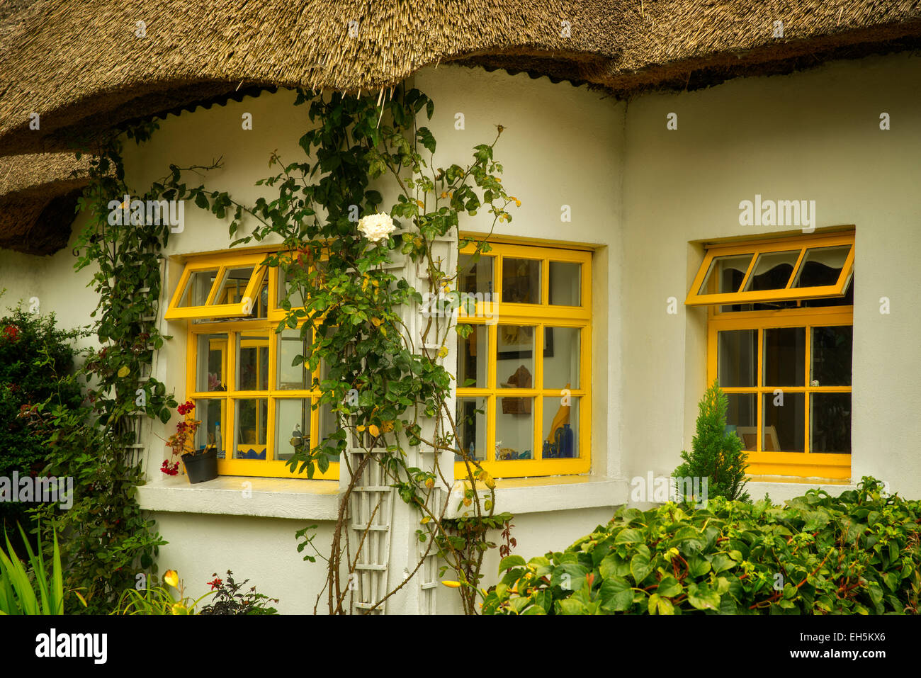 Thatched cotages in Adare, Ireland. Stock Photo