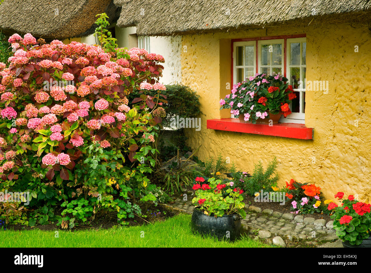 Thatched cotages and flowers in Adare, Ireland. Stock Photo