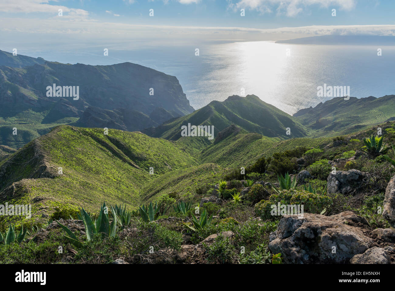 Mountains with agave and sea on the island of Tenerife in Spain. Stock Photo