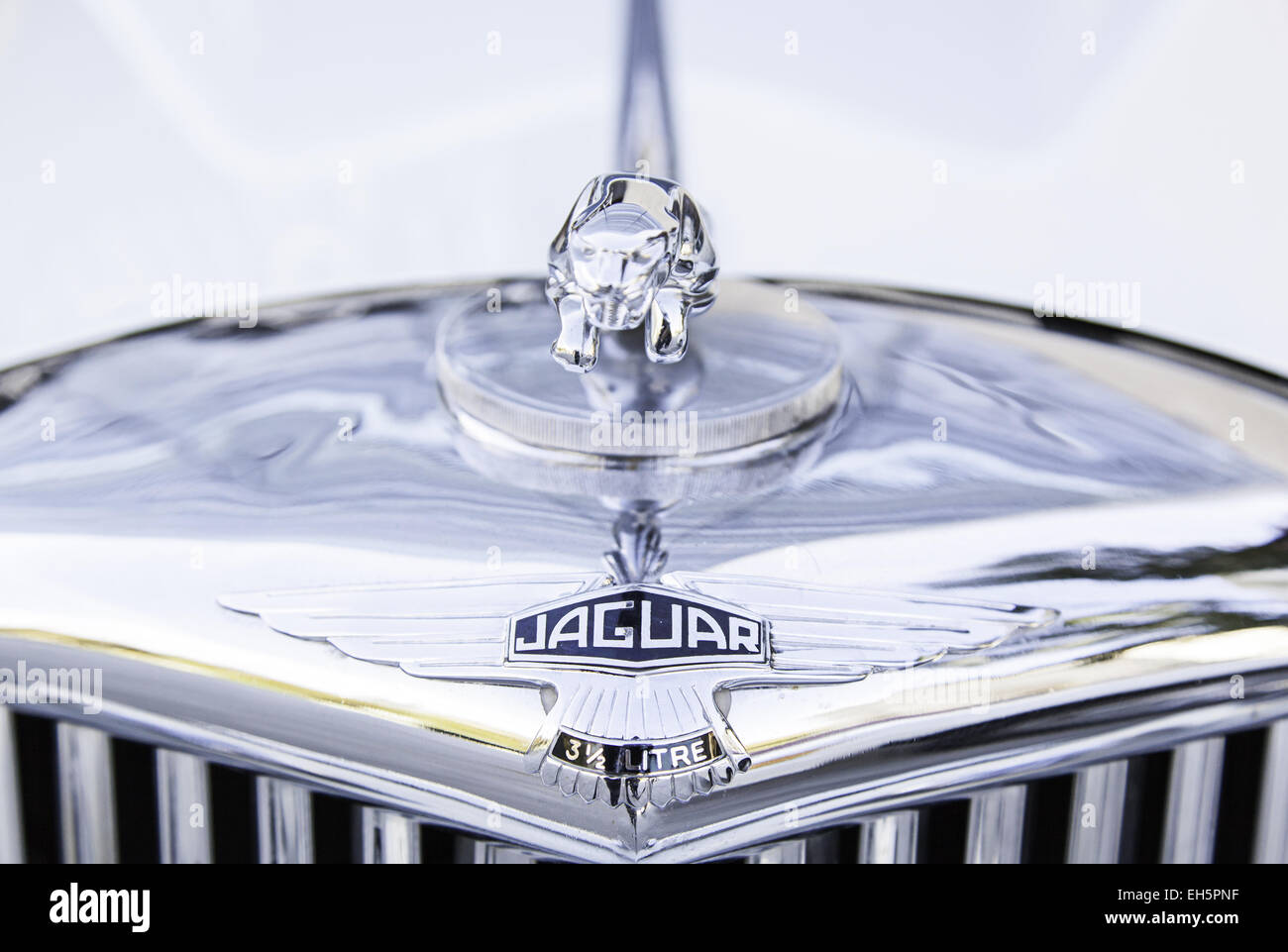 Leaping jaguar symbol hires stock photography and images Alamy