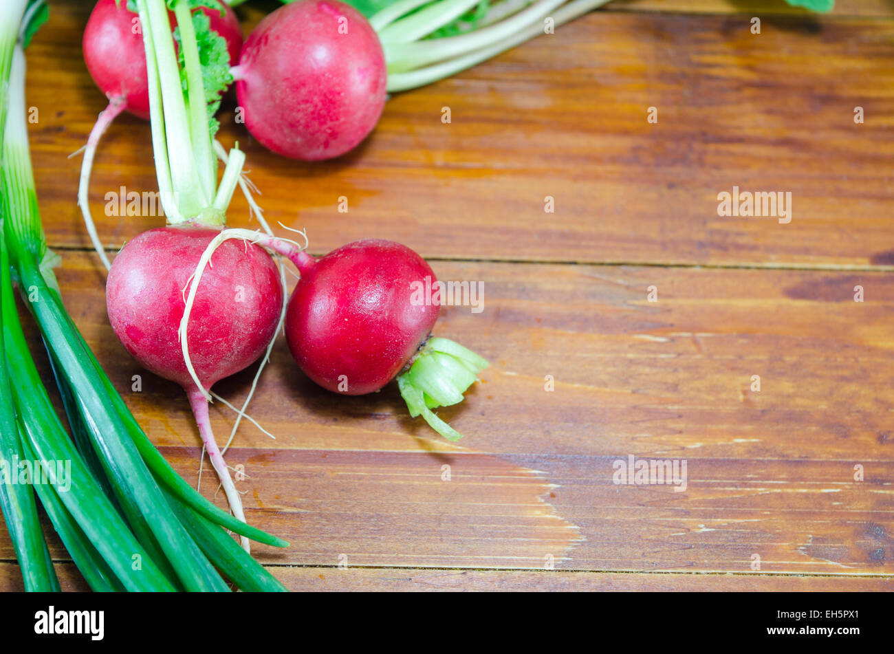 Fresh and moist radishes on a wooden table Stock Photo