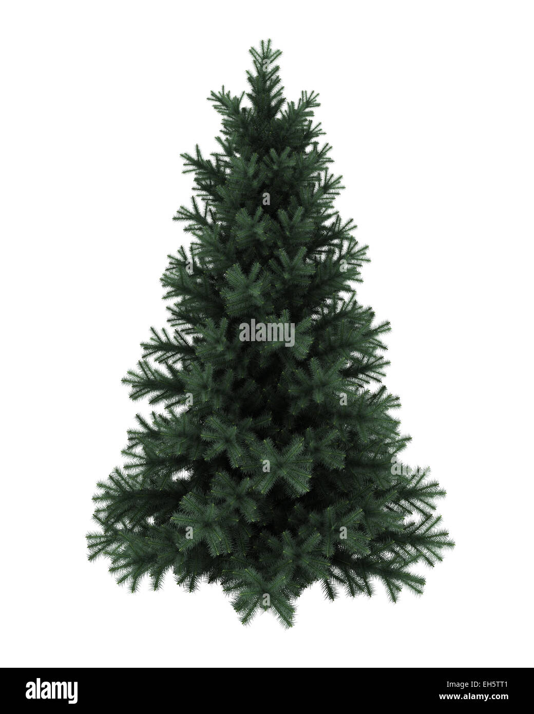 Alpine fir tree isolated on white background Stock Photo