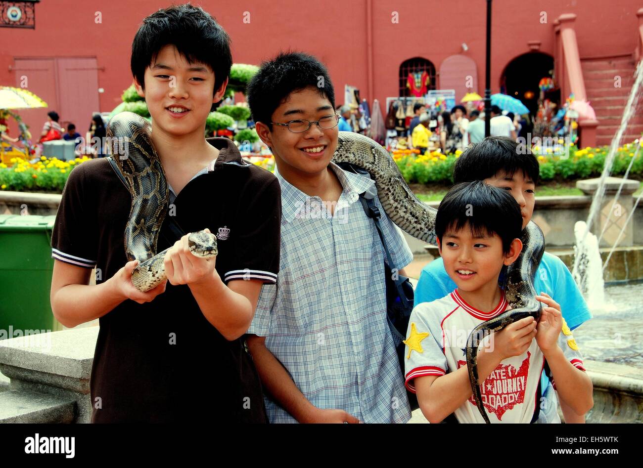 Melaka, Malaysia: Four Asian boys pose with a giant snake wrapped around their shoulders in Stadthuys Square Stock Photo