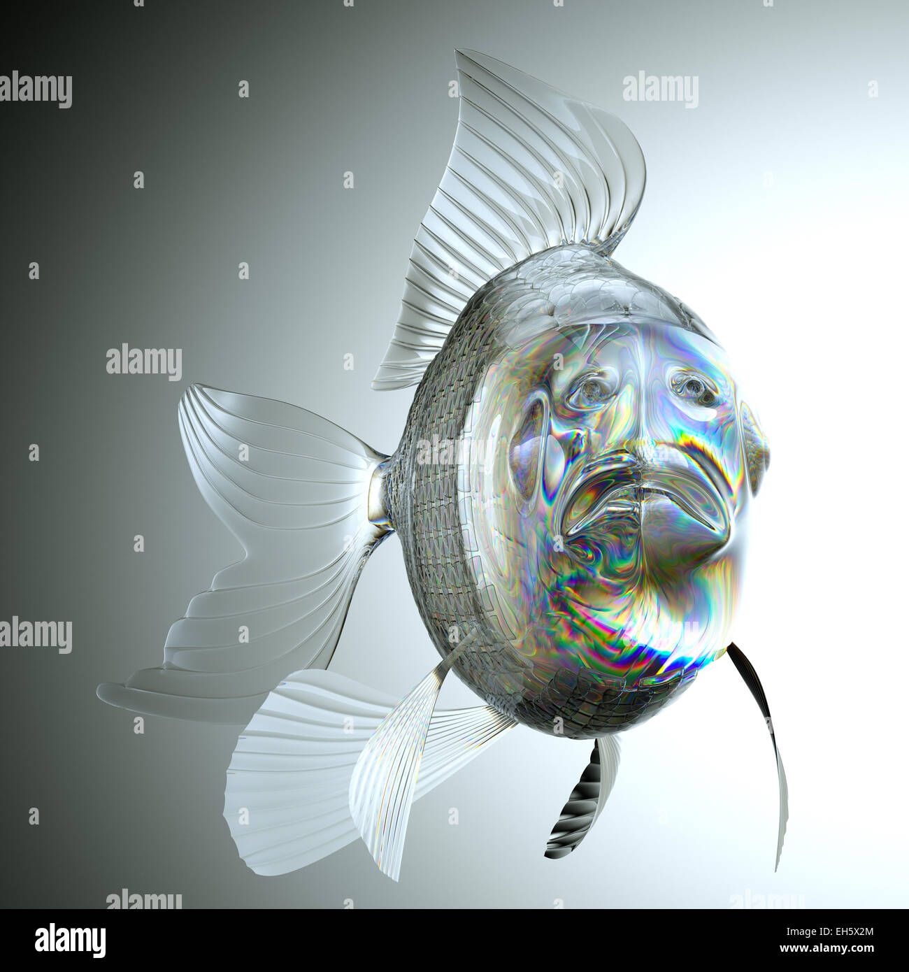Glassy fish with scales and fins. Large resolution Stock Photo Alamy
