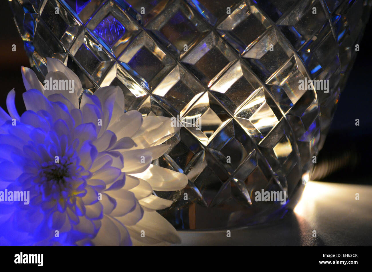 The crystal vase and the white flower, with a hint of blue Stock Photo