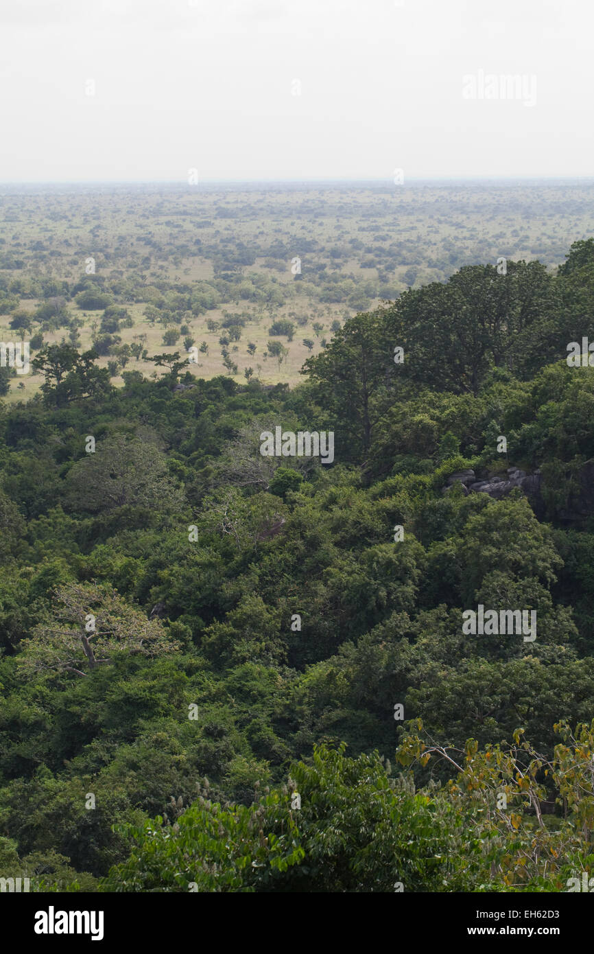 Kakum National Park. Overlooking transitional bush to grassland savanna. November. Ghana. West Africa. Stock Photo
