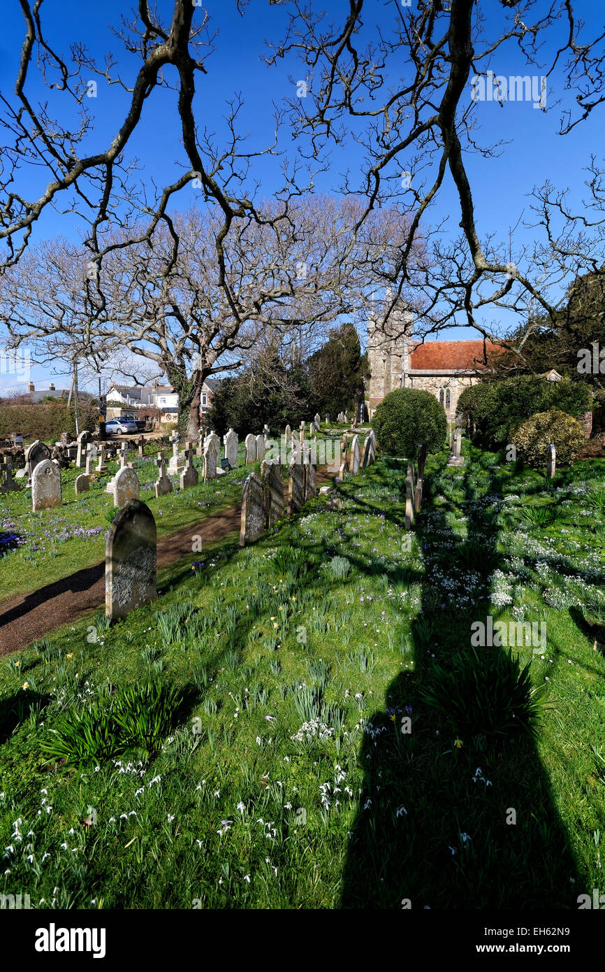 Spring flowers populate the churchyard of St. Mary's Church, Brighstone