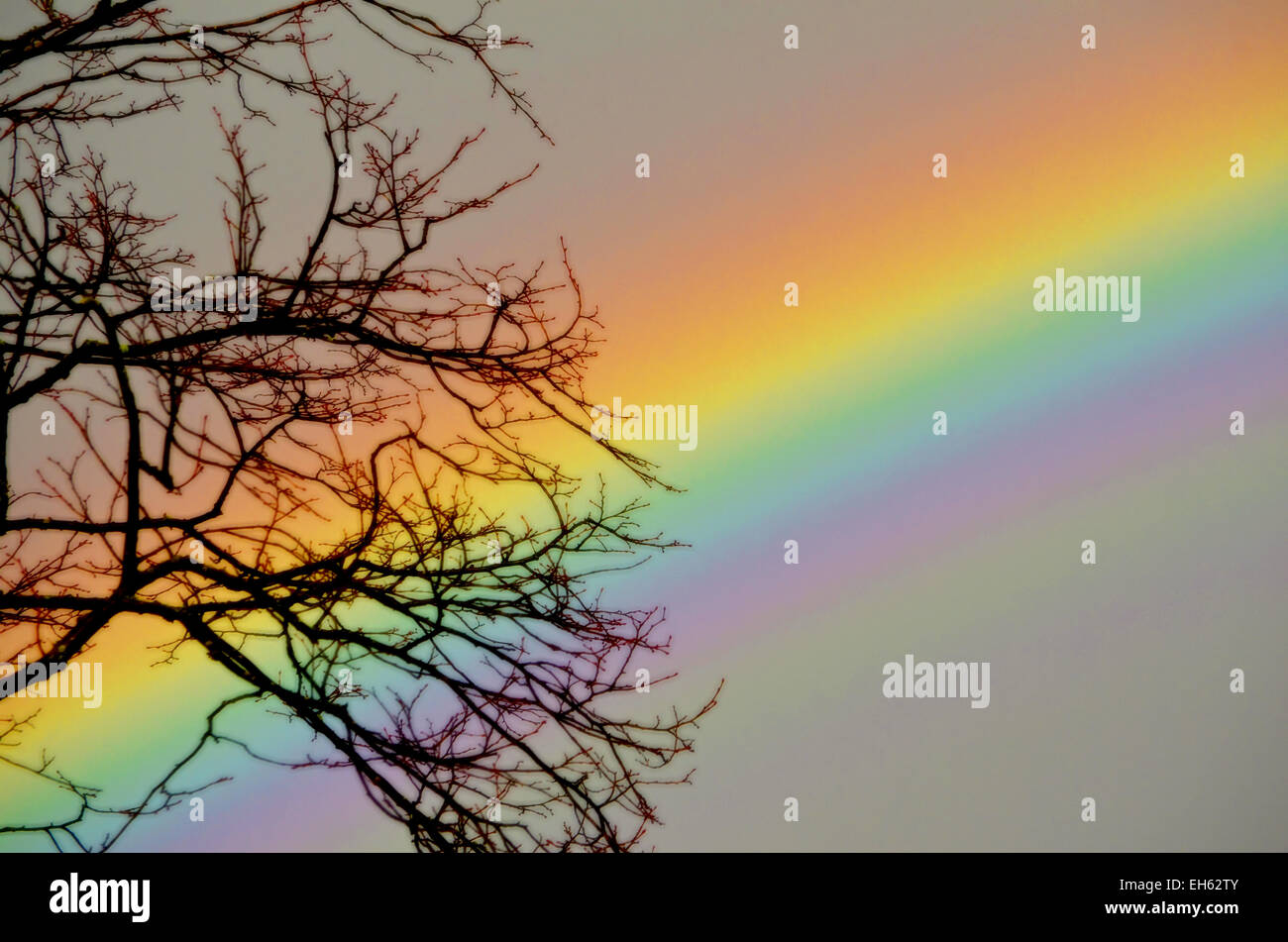 Rainbow colours in park hi-res stock photography and images - Alamy