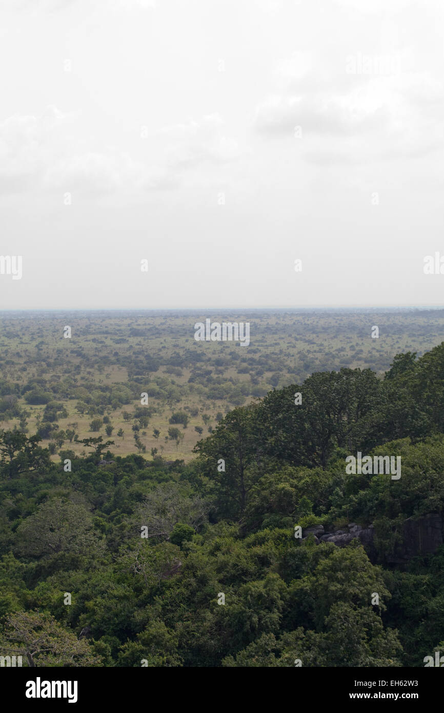 Kakum National Park. Overlooking transitional bush to grassland savanna. November. Ghana. West Africa. Stock Photo