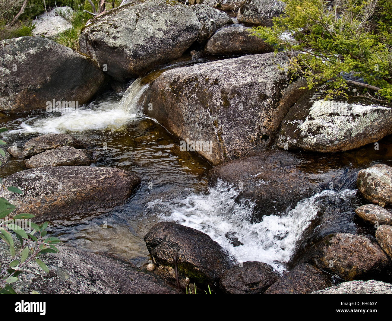 Australia: Mountain creek, Snowy Mountains, NSW Stock Photo