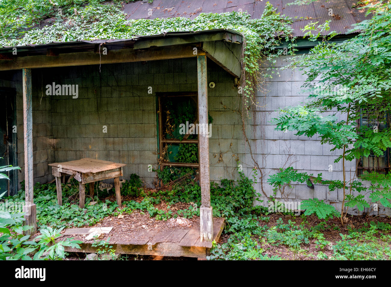 Abandoned home back porch weathered and dilapidated Stock Photo