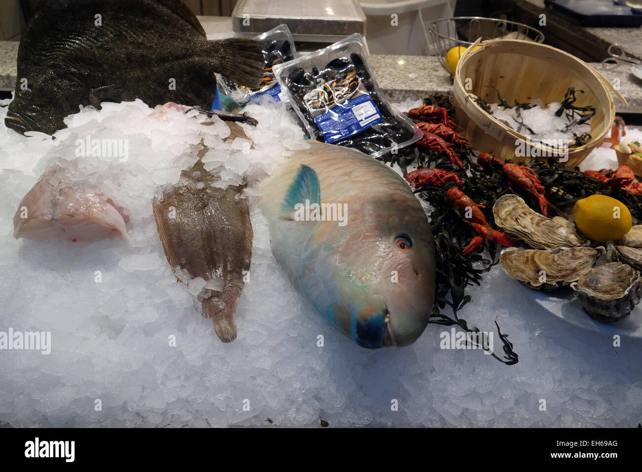Fish and seafood prepared for sale in Nordsee restaurant. Graz, Austria Stock Photo