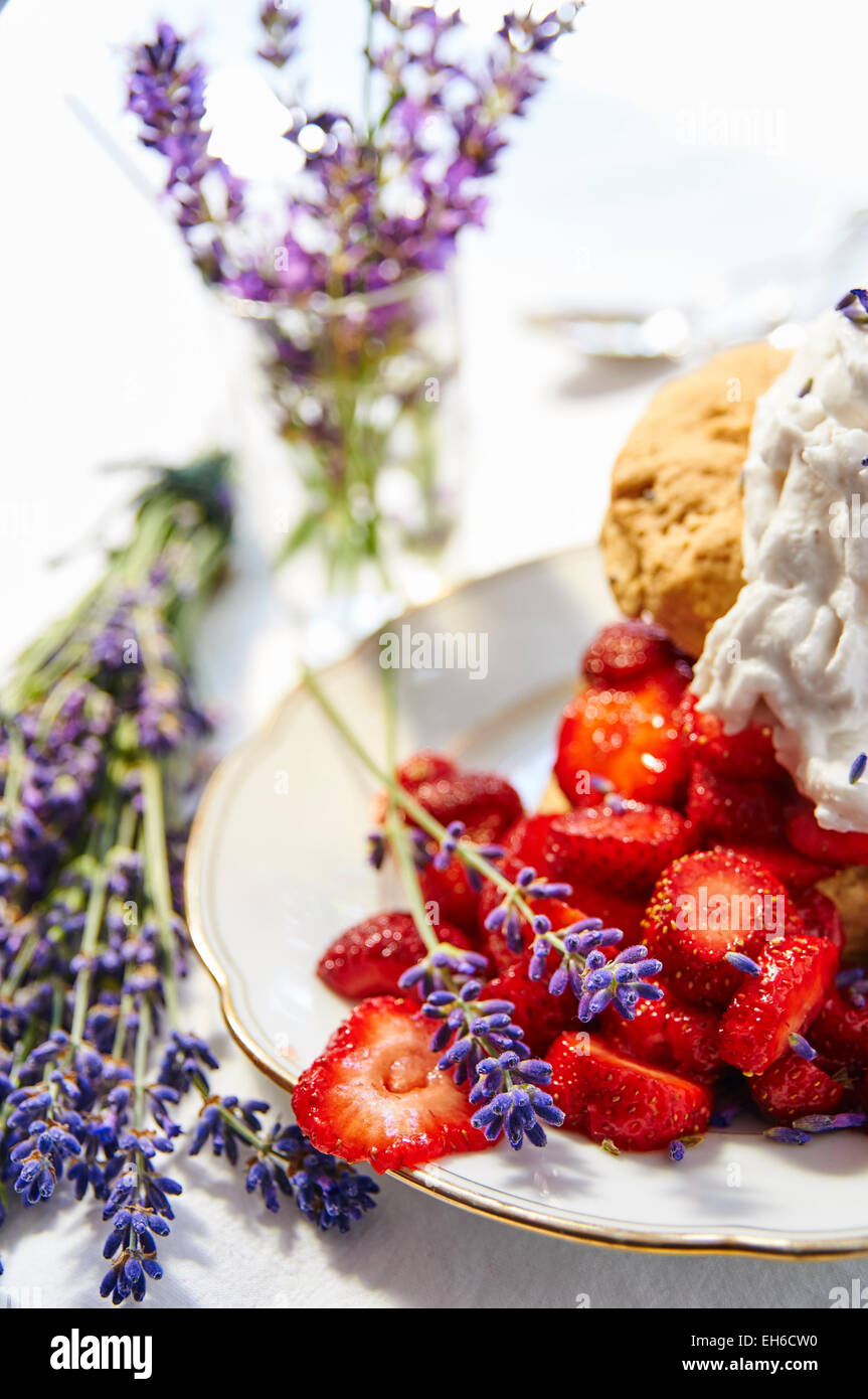 Lavender Strawberry Shortcake with Lavender Whipped Coconut Cream Stock Photo
