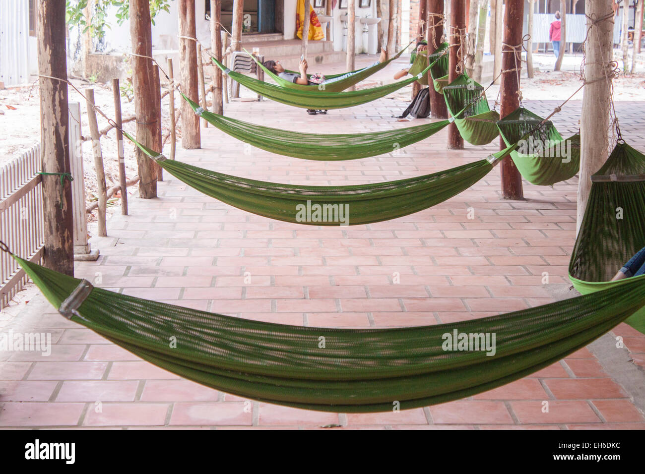 A line of green hammocks, at a beach resort Stock Photo Alamy