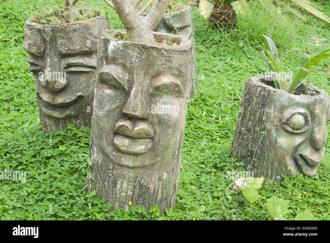 Vietnamese plantpot hires stock photography and images Alamy