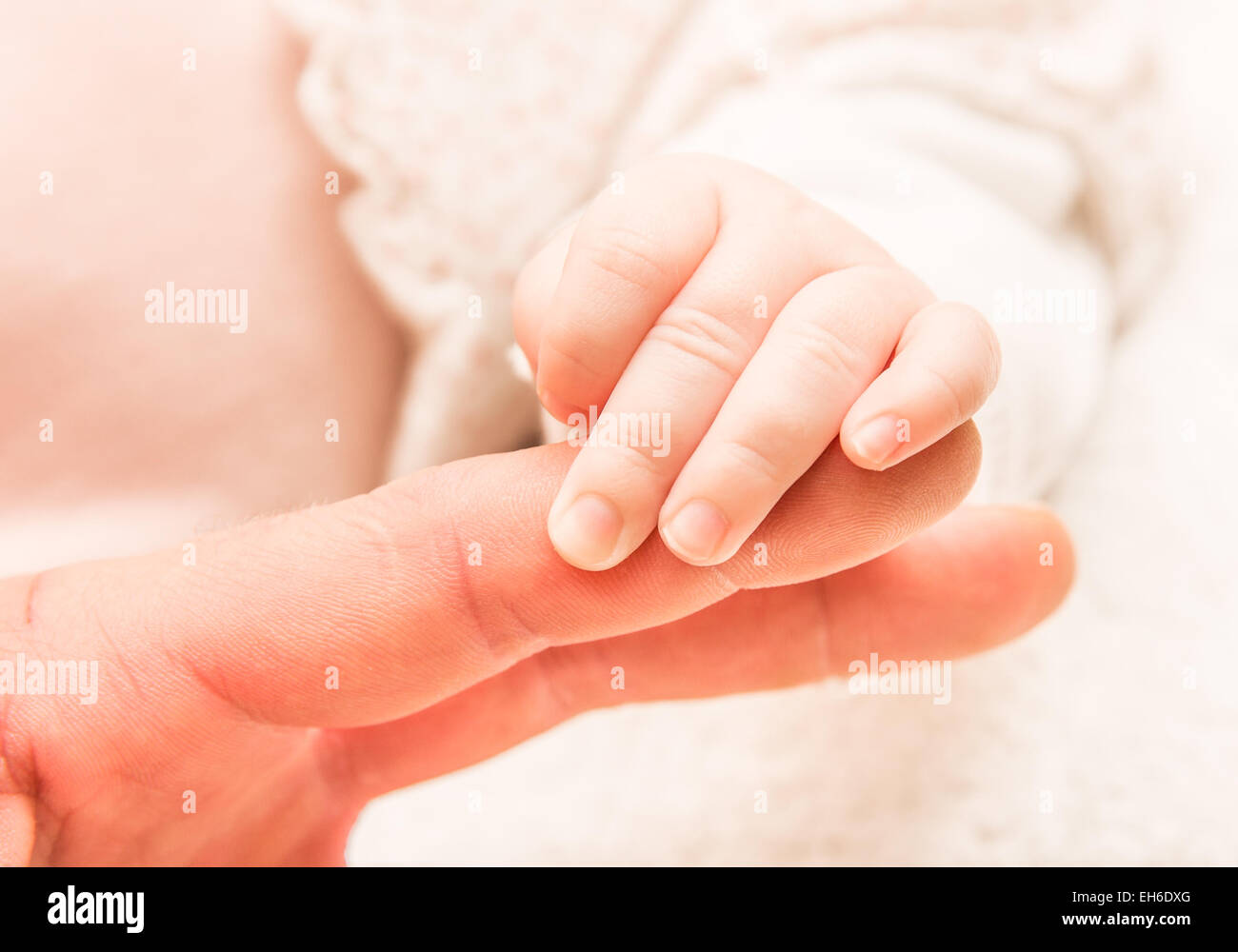 Hand of the newborn child in the hands of the parent Stock Photo