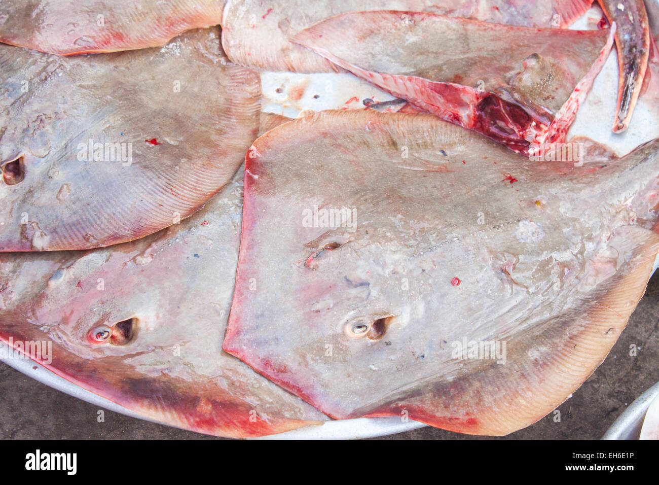 A lot of flounder flatfish, at a market Stock Photo Alamy