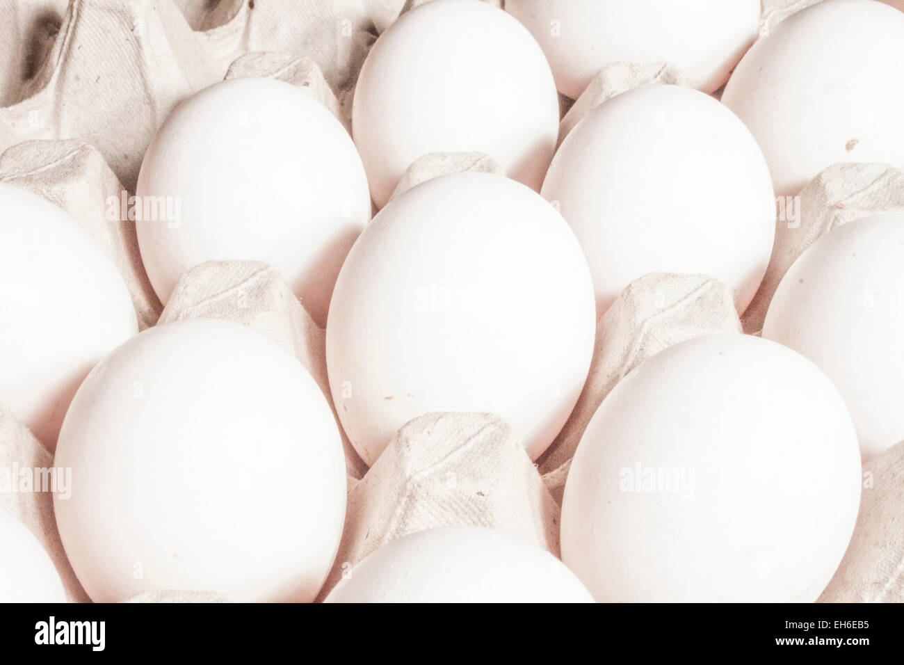 Egg carton full of big, white, delicious eggs Stock Photo