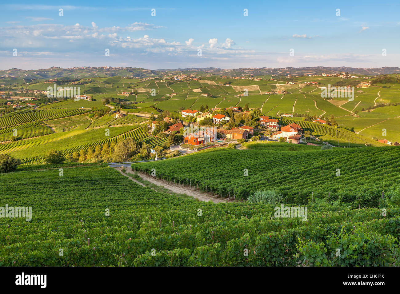 Small village among green vineyards at sunset in Piedmont, Northern Italy. Stock Photo