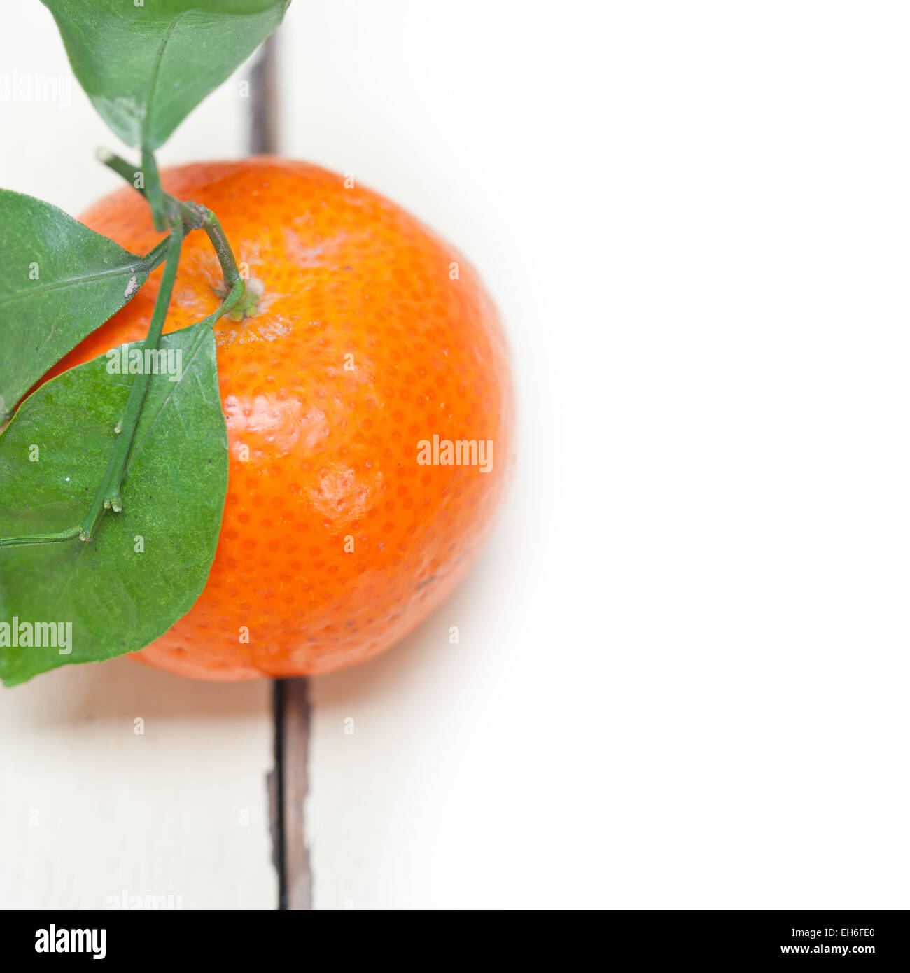 https://c8.alamy.com/comp/EH6FE0/tangerine-mandarin-orange-on-white-rustic-wood-table-EH6FE0.jpg