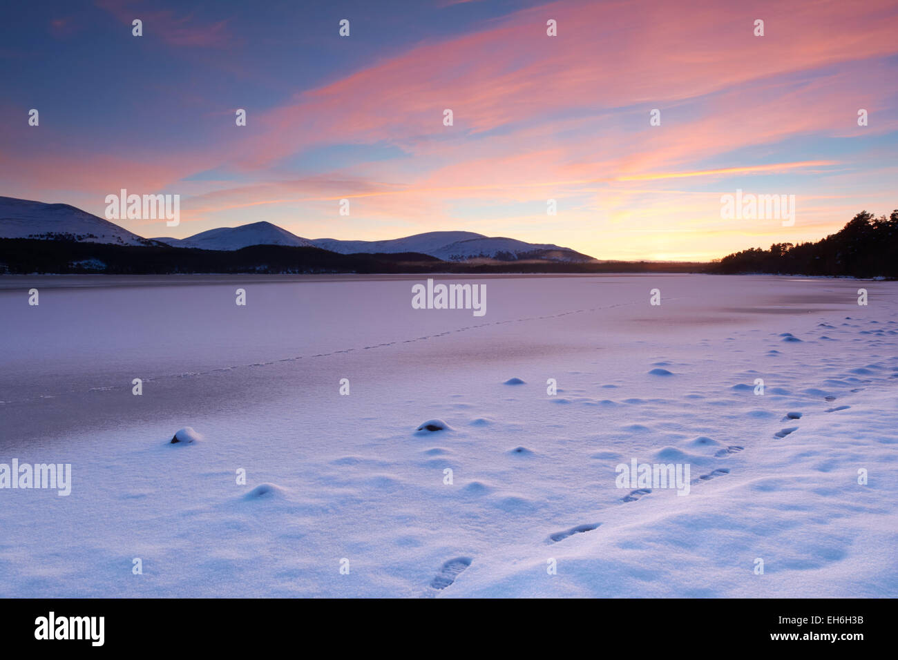 Winter sunset from the shores of the frozen Loch Morlich in Aviemore, Cairngorms, Scotland, UK Stock Photo